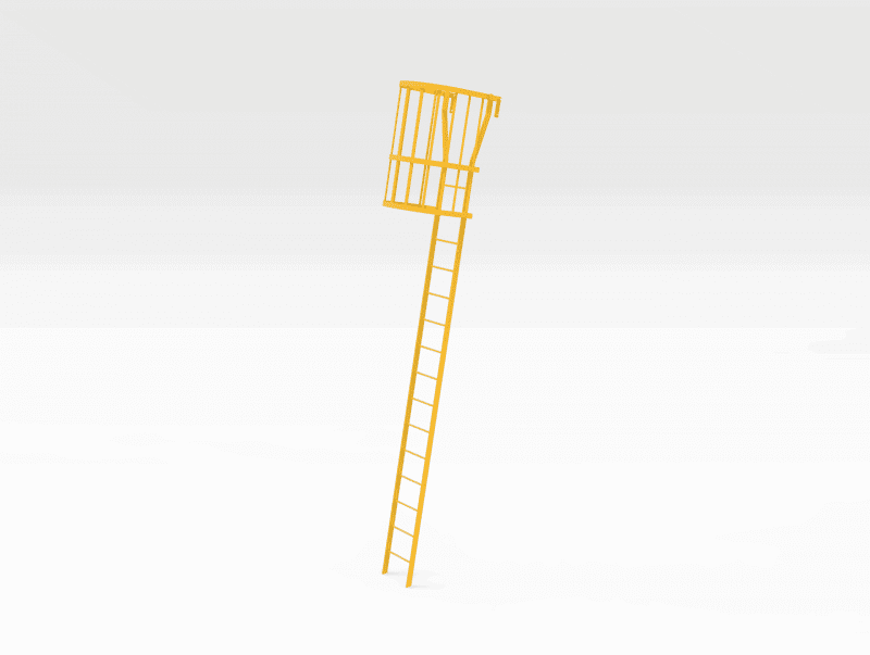 Ladder-Cage-FR