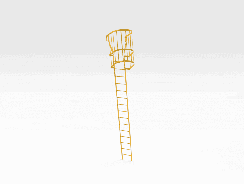 Ladder-Cage-REAR